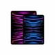 iPad Pro 11 Pouces 256GB